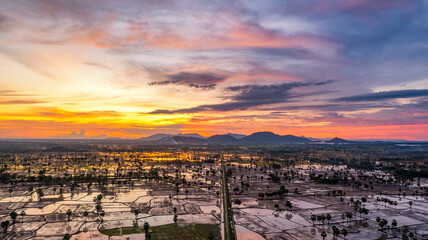 Canvas Print - Beauty rice terrace with Sugar palms on sunset