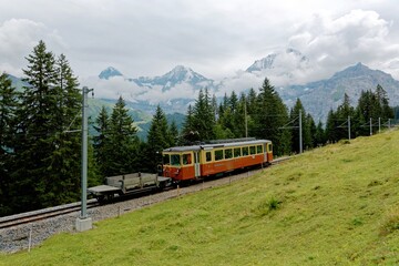 Wall Mural - Scenery of a local train traveling on the narrow gauge railway by the green grassy hillside, with majestic Eiger, Monch & Jungfrau mountains in background, near Murren in Bernese Oberland, Switzerland