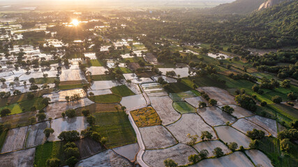 Wall Mural - Ta Pa rice fields are beautiful in the morning