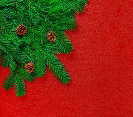 Wall Mural - christmas fit tree on a red shiny background top view, copyspace. xmas, nature new year concept..