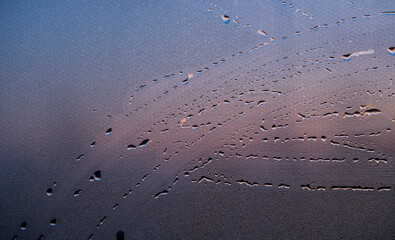 Wall Mural - condensation from a drop of water on a window glass pane during dawn with orange and blue tones