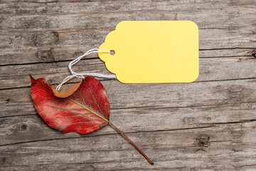 Autumn Red Leaf on weathered wood