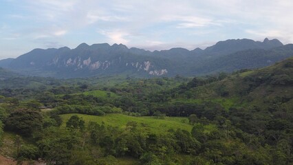 Canvas Print - Landscape view od the lush forest trees with hills in the background