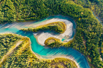 Wall Mural - a drone view of the river in the woods. an aerial view of an autumn forest. winding river among the 