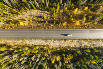 Wall Mural - a drone view of a road in the middle of a forest. a car on the road. a straight road among the trees