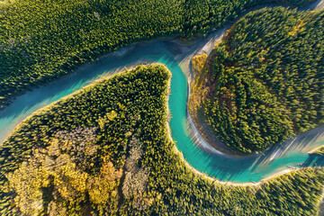 Wall Mural - a drone view of the river in the woods. an aerial view of an autumn forest. winding river among the 