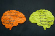 Paper brains with phrases divergent and convergent thinking.