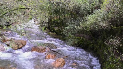 Sticker - Landscape of Ribeira de Alges in Figueiró dos Vinhos in Portugal