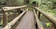Crossing Wooden Bridge Hiking In Forest