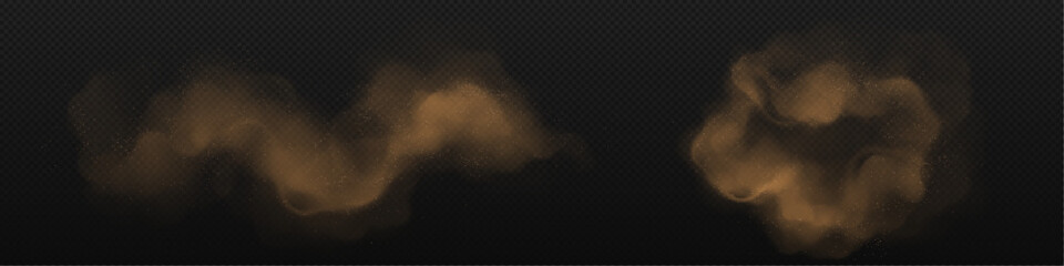 Wall Mural - Brown dust clouds with sand and dirt particles isolated on black background. Texture of powder splashes and flows. Abstract smoke and dust splatters, vector realistic set