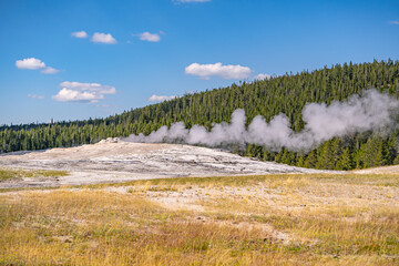 Canvas Print - Old Faithful geyser erupting, Yellowstone National Park.