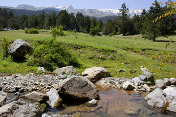 Poster - Stream, mountain, nature landscape. Photos taken while hiking in nature.