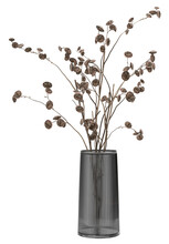 Stylish Modern Dried Flower Arrangement In Cylindrical Vase As Home Decoration. 3D Rendering