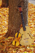 Guitar and violin standing under a tree in the park against the backdrop of autumn leaves.
