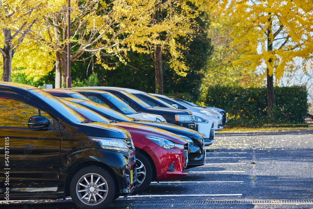 駐車場の車と秋のイチョウの風景 Stock Photo | Adobe Stock