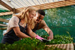 © StratfordProductions - Young multiracial couple in aprons smiling while gardening in plant nursery
