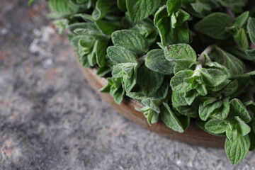 Sticker - fresh green oregano fragrant organic