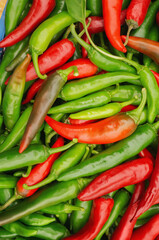 Wall Mural - pepper in a box. Red and green bitter fresh pepper in a box, a row in a grocery store, supermarket. Local store concept