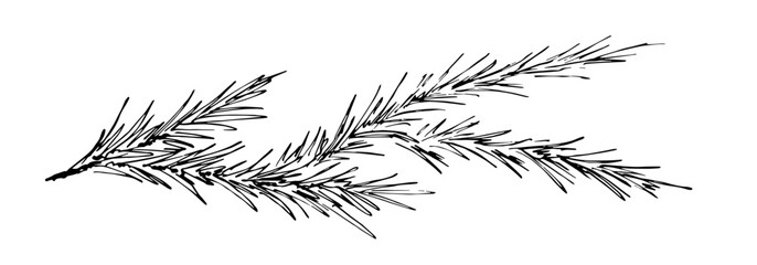 simple hand drawn vector drawing in black outline. pine branches, festive garland, banner. new year,