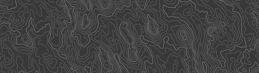 Wall Mural - topographic map patterns, topography line map. outdoor vector background, editable stroke