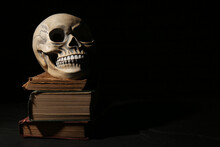 Human Skull With Books On Black Background, Space For Text