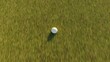 achievement goal concept,camera follow ball on golf course going in the hole aerial top down view