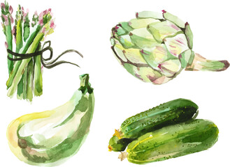 Watercolor painted collection of vegetables. Hand drawn fresh food design elements isolated on white background.