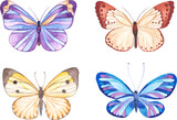 Fototapeta Motyle - Vector illustration of watercolor butterflies isolated on white background