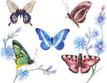 Vector Illustration Of Watercolor Butterflies Isolated On White Background