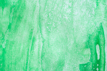 Wall Mural - Abstract green watercolor background texture close up