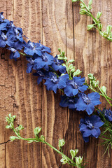 Poster - Vintage rural still life background with blue garden flowers on a wooden surface