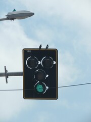 Canvas Print - swallows at traffic lights