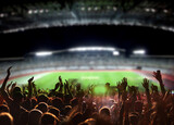 Fototapeta Sport - football or soccer fans at a game in a stadium