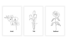Set Of Flower And Botanical Line Art, Continuous Line. For Logo Design. Orchids, Tulip, Sunflower