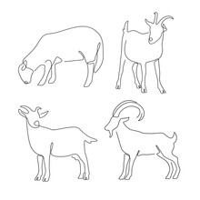 Set Of Animal Farm Sheep And Goat Line Art , Hand Drawn For Logo Design.