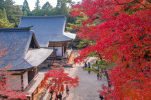 Temple With Autumn-color Leaves