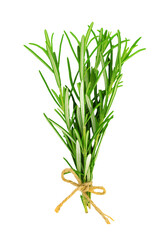 Wall Mural - Studio shot of a fresh green rosemary bunch tied by a burlap string and isolated on a transparent background in close-up