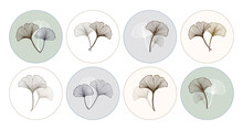 Set Of Round Icons With Ginkgo Biloba Leaves. Pastel Colors, Vector