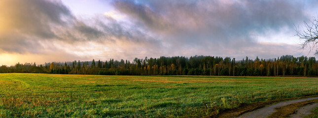 Wall Mural - colorful panorama view on the field and forest with sunny sky with clouds