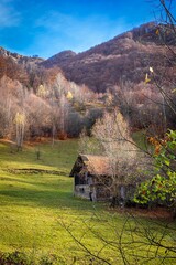 Sticker - Vertical shot of a wooden cabin in a field near Leaota mountains, Arges country, Romania