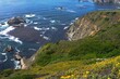Big Sur rugged landscape of sea waves crashing the cliffs, California