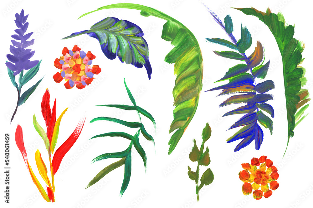 Collection White Background Collection of tropical branches and leaves painted with bright colors ...