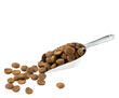 Pet food, cat and dog dry kibble. Scoop with brown special diet food isolated on Transparent background, PNG.
