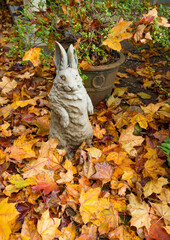 Wall Mural - Maple leaves fallen on backyard garden plants and sculpture decorations,  salem Oregon