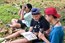 Three Asian Boys're Reading Birds Details And Going To Use Binoculars To Watch Birds On The Trees During Summer Camp, Idea For Learning Creatures And Wildlife Animals Outside The Classroom.