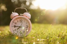 Pink Alarm Clock On Green Grass Outdoors. Space For Text