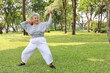 Happy and smiling asian senior woman doing arm work out and lifting dumbbell exercise with relaxation for healthy in park outdoor after retirement. Health care elderly outdoor lifestyle concept.