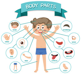 Poster - Body parts with vocabulary