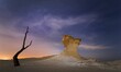 Bare tree in the desert with big rock