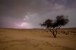Bare tree on the desert with a dark cloudy storm in the sky